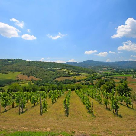 Holiday Home Montebello By Interhome Monterchi Exteriér fotografie